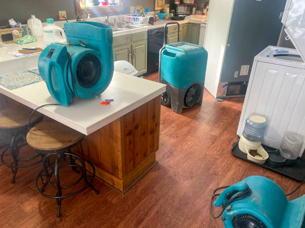 Best Water damage restoration mold remediation  in Rockford, IL