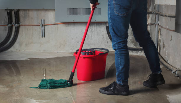 Best Fire Damage Restoration  in Rockford, IL