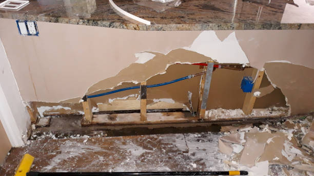 Best Flood restoration services  in Rockford, IL
