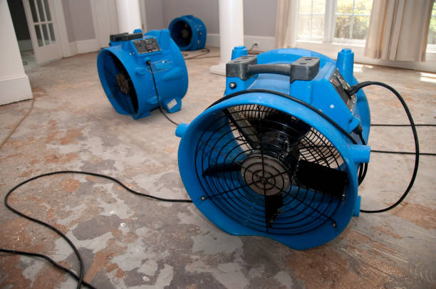 Best 24/7 water damage repair  in Rockford, IL