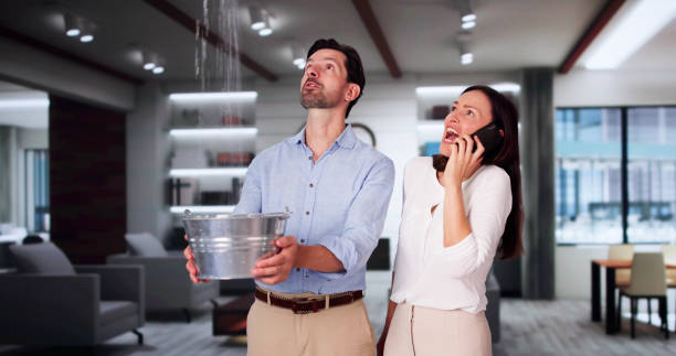 Best Mold removal after water damage  in Rockford, IL