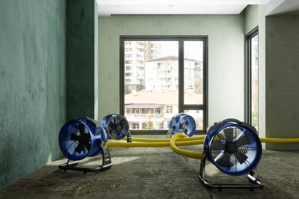 Best Local water damage restoration  in Rockford, IL