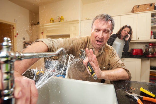Best Flooded house restoration  in Rockford, IL